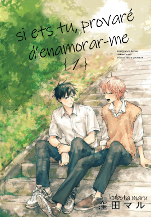 Si ets tu provaré d'enamorar-me CAT Cover Image