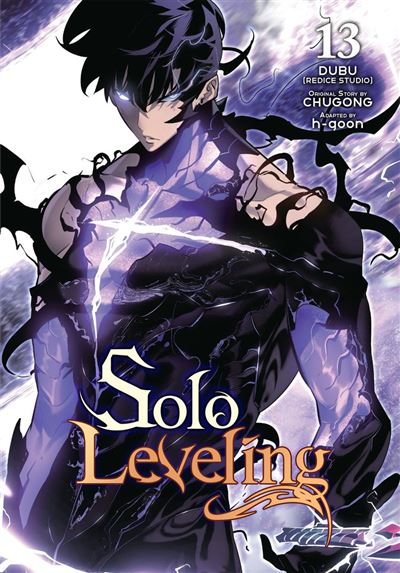 Solo Leveling IT Cover Image